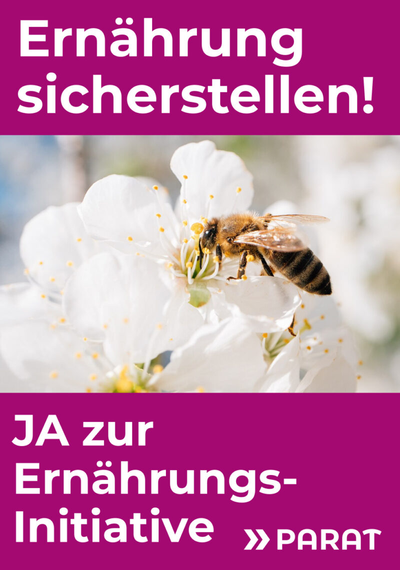 Abstimmungsplakat für die Ernährungs-Initiative; Überschrift: Ernährung sicherstellen! Foto einer Biene, welche einen Kirschbaum bestäubt; Untertext: JA zur Ernährungs-initiative Foto CC-BY SA Nguyenhai314